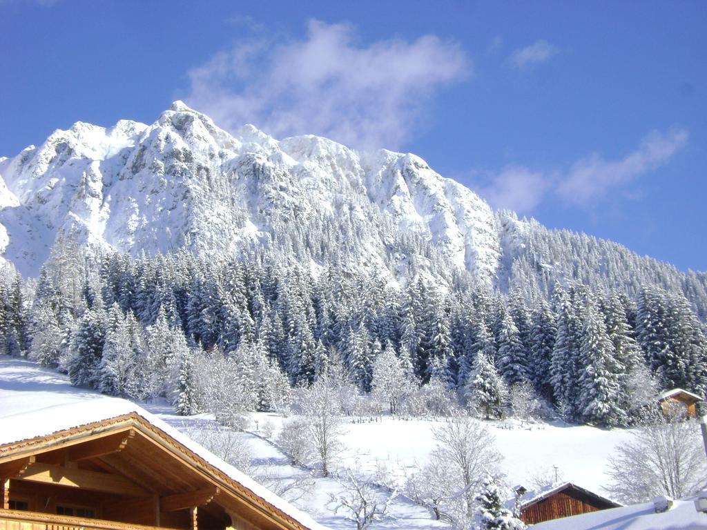 Appartement Alpina Alpbach Exterior foto