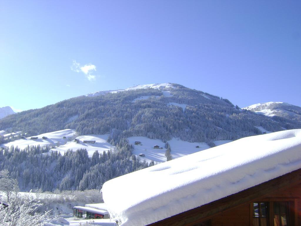 Appartement Alpina Alpbach Exterior foto